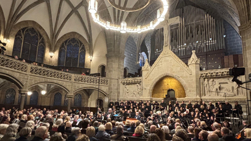 Word Doctors Orchestra 2026